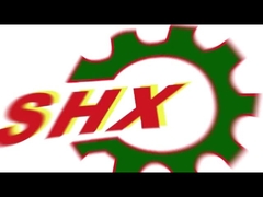 Guangdong Sunkings Electric Co., Ltd. y sus subsidiarias