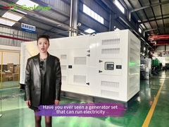 Guangdong Sunkings Electric Co., Ltd. y sus subsidiarias