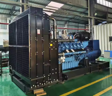 comprar 1800kVA 1440KW Dinamo satisfactorio Generador de GLP Generador de gas Conjunto de gas natural para el suministro de energía industrial online manufacture